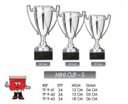 mini cup small trophy