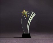 Metal Star Engraved Trophy with Black Mable base