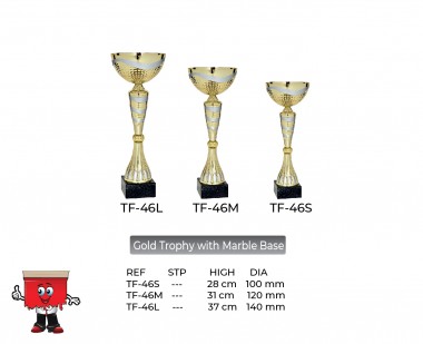 Gold Trophy with Marble Baset