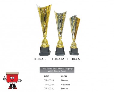 Two tone Star Metal Trophy with Black Base