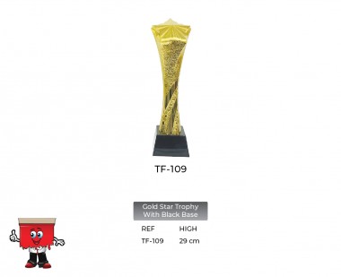 Gold Star Trophy with Black Base