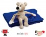 teddy, plush, toy, kids, blanket