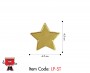 Star Shaped Lapel Badge, Gold, 4.5 x 4.5 cm